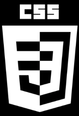 CSS logosu